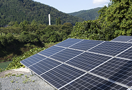  Atmosfera nais verde e fresca