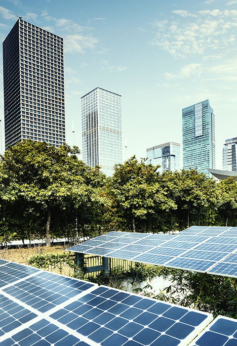 Painéis solares nas Empresas